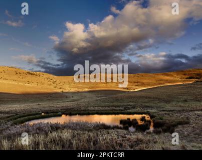 Paysage en fin d'après-midi au sud du village agricole de Cedarville, dans le sud de Drakensburg. Banque D'Images