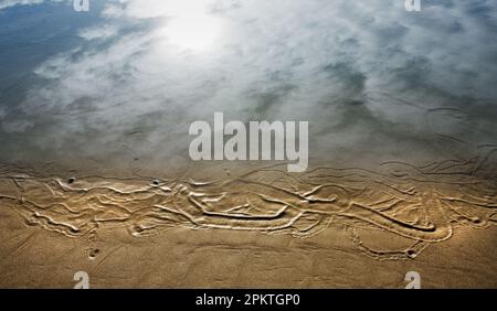 Motifs sur le sable de la plage de la Vallée de la nature.Vallée de la nature, Parc national de Tsitsikama, route des jardins, Afrique du Sud. Banque D'Images