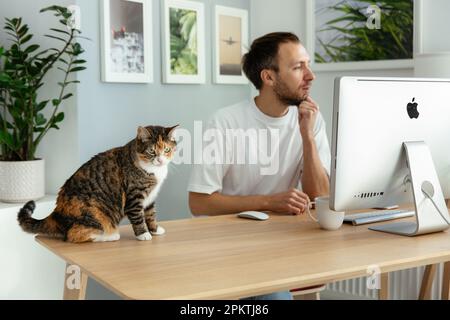 Entrepreneur homme travail à partir de bureau confortable à la maison sur le verrouillage de coronavirus lire l'email sur l'ordinateur Banque D'Images