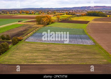 Champs colorés dans un paysage rural comme un tir de drone, Hesse, Allemagne Banque D'Images