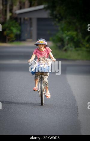 Femme élégante et âgée dans un chapeau à bord de fleur et deux chiens dans un panier de voyage vers le spectateur sur une route de bitume isolée sur une plage à Cairns, en Australie. Banque D'Images