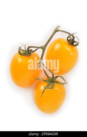 Les tomates Romanella Duet Baby sont de petites tomates multi-couleurs en forme d'oeuf dans une composition de couche plate sur fond blanc. Format vertical avec espace pour t Banque D'Images