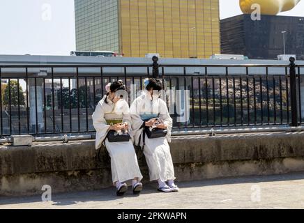 Tokyo, Japon - 20 mars 2023 : les visiteurs apprécient les cerisiers en fleurs (Sakura) dans le parc Hanakawado, le long de la rivière Sumida, Tokyo, Japon Banque D'Images