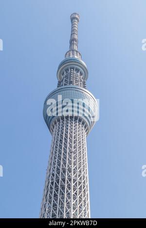 Tokyo, Japon - 20 mars 2023 : Tour Skytree de Tokyo, Japon. La tour de télévision est la plus grande structure du monde en 2nd. Banque D'Images