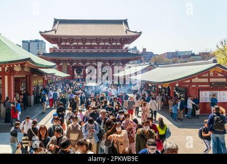 Tokyo, Japon - 20 mars 2023 : les visiteurs apprécient la fleur de cerisier (Sakura) au temple bouddhiste Senso-ji situé dans le quartier d'Asakusa Banque D'Images
