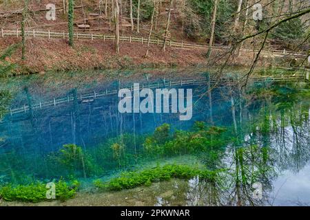Le Blatopf (Blue Pot) à Blaubeuren à la limite est du Jura souabe près d'Ulm, Bade-Wurtemberg, Allemagne, Europe. Banque D'Images