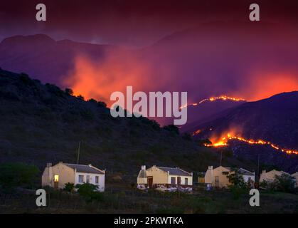 Une montagne brûle hors de contrôle sur les montagnes Swartberg au-dessus des maisons de la colonie de Three Oaks. Banque D'Images