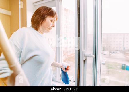 Femme au foyer. Femme de race blanche Moyen âge. Happy Shy mature Woman nettoyage de fenêtre avec spray. Concept des aînés actifs. Femme âgée nettoyage appartement Banque D'Images