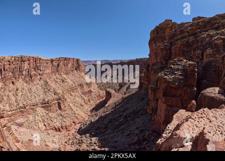 Fourche nord de Lower SOAP Creek Canyon AZ Banque D'Images