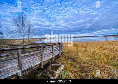 Un quai en bois surélevé s'étendant sur un marais tranquille, avec un lac serein en arrière-plan Banque D'Images