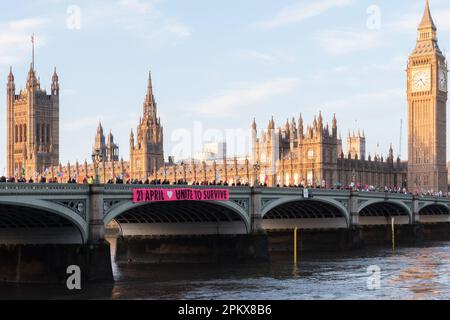 Les militants de la rébellion d'extinction effectuent un lâcher de bannière sur le pont de Westminster déclarant « Unite to survive », annonçant de futures manifestations contre le climat. Banque D'Images