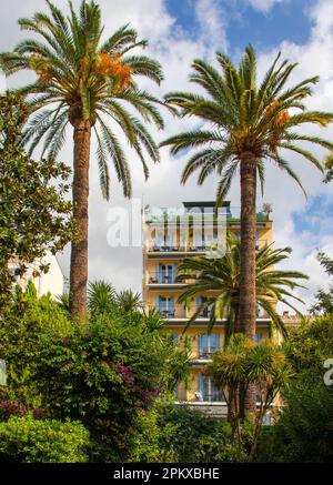 Maisons d'appartements de luxe avec vérandas dans des jardins luxuriants entourés de plantes et de palmiers. Banque D'Images