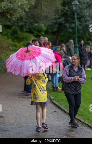 Preston Lancashire. Météo Royaume-Uni. 10 avril 2023. Joyeuse jeune fille en haut jaune avec un parapluie pétale rose au lundi de Pâques traditionnel Egg-Rolling dans Avenuam Park, une tradition datant de 1867. Les enfants roulent leurs œufs de rythme dans les collines et voient qui pourrait obtenir le leur le plus loin sans qu'il se casse. Crédit MediaWorldmages/AlamyLiveNews Banque D'Images