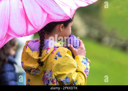 Enfant tenant un parapluie et un oeuf de Pâques à Preston Lancashire, avril 2023. Traditionnel lundi de Pâques rouler les œufs dans le parc Avenuam, une tradition datant de 1867. Les enfants roulent leurs œufs de rythme sur les collines et voient qui peut aller le plus loin sans qu'il ne se casse. Banque D'Images