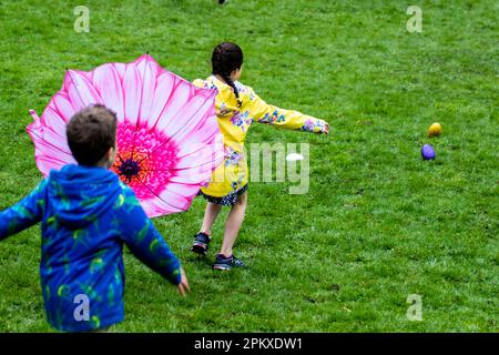 Preston Lancashire. Météo Royaume-Uni. 10 avril 2023. Joyeuse jeune fille en haut jaune avec un parapluie pétale rose au lundi de Pâques traditionnel Egg-Rolling dans Avenuam Park, une tradition datant de 1867. Les enfants roulent leurs œufs de rythme dans les collines et voient qui pourrait obtenir le leur le plus loin sans qu'il se casse. Crédit MediaWorldmages/AlamyLiveNews Banque D'Images