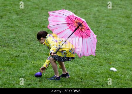 Preston Lancashire. Météo Royaume-Uni. 10 avril 2023. Joyeuse jeune fille en haut jaune avec un parapluie pétale rose au lundi de Pâques traditionnel Egg-Rolling dans Avenuam Park, une tradition datant de 1867. Les enfants roulent leurs œufs de rythme dans les collines et voient qui pourrait obtenir le leur le plus loin sans qu'il se casse. Crédit MediaWorldmages/AlamyLiveNews Banque D'Images