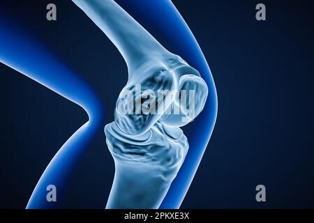 Vue rapprochée des os de l'articulation du genou 3D illustration du rendu. Anatomie du squelette humain, ostéologie, science, biologie, médecine et concept de soins de santé. Banque D'Images