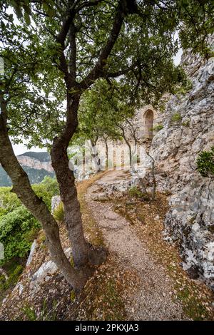 Sentier de randonnée vers les ruines de Castell Alaro, Serra de Tramuntana, Puig dAlaro, Majorque, Espagne Banque D'Images