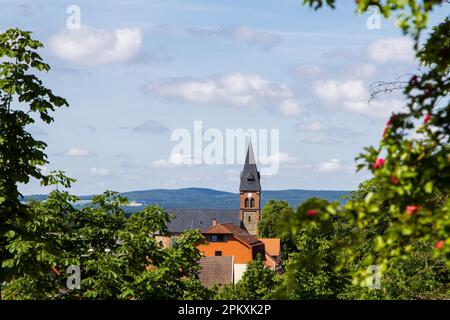 Vue sur l'église de Friedrichsbrunn dans les montagnes Harz Banque D'Images