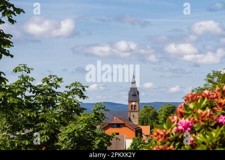 Vue sur l'église de Friedrichsbrunn dans les montagnes Harz Banque D'Images