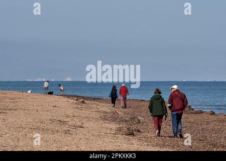 Couples de touristes marchant avec des chiens le long de la rive de la plage des Marines dans la ville de Denia, province d'Alicante, Espagne, Europe Banque D'Images