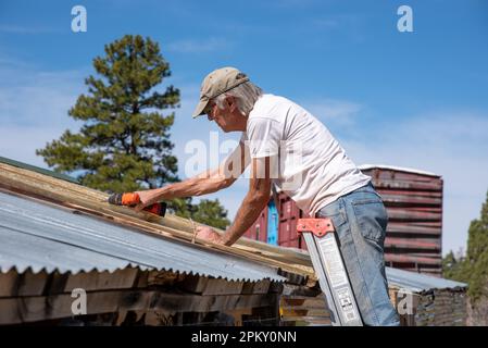 Un homme en bonne santé et en forme dans ses années 70 se tient sur une échelle d'extension en aluminium tandis qu'il remplace les panneaux ondulés sur le toit d'un hangar rustique, États-Unis. Banque D'Images