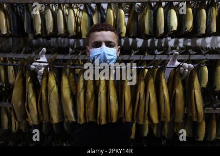 Les travailleurs palestiniens préparent du poisson fumé dans une usine de Rafah, dans le sud de Gaza, qui sera vendu sur les marchés avant le jour férié d'Eid al-Fitr qui marque la fin du Saint mois de jeûne musulman du Ramadan, à Rafah, dans le sud de Gaza, lundi, 10 avril 2023. Photo par Ismael Mohamad/UPI. Crédit : UPI/Alay Live News Banque D'Images