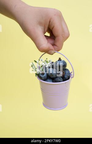 la main de l'enfant tient un petit seau en métal souvenir avec des bleuets mûrs fraîchement cueillis sur fond jaune. Récolte de vitamines délicieux baies d'été. po Banque D'Images