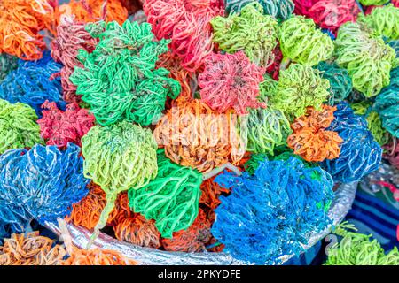 Algues séchées colorées Rose de Jéricho (Selaginella lepidophylla) façonnées en boules décoratives sur le marché de rue. Banque D'Images