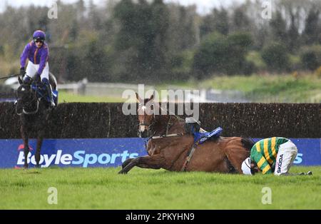 Janidil monté par Mark Walsh tombe à la clôture finale de la McInerney Properties Fairyhouse Chase à l'hippodrome de Fairyhouse dans le comté de Meath, en Irlande. Date de la photo: Lundi 10 avril 2023. Banque D'Images