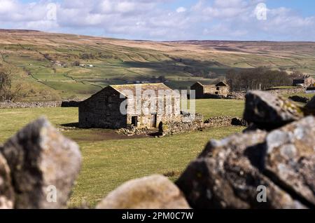 Des granges traditionnelles près de Burtersett, à Wensleydale, dans le parc national de Yorkshire Dales, au Royaume-Uni Banque D'Images