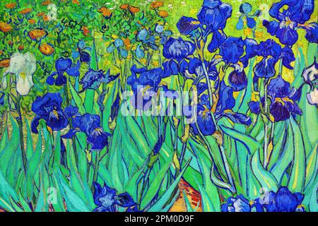 Iris, peinture de Vincent van Gogh Banque D'Images