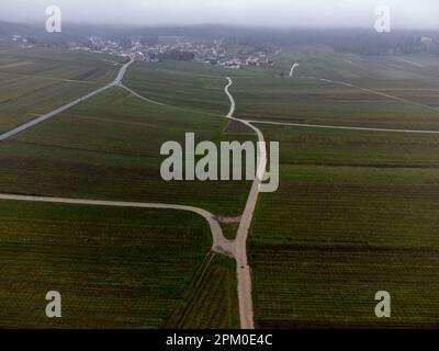 Vue aérienne panoramique d'hiver sur un paysage nuageux, vignobles de vallée près du village de champagne Ludes Premier cru près d'Epernay, production de vin en France Banque D'Images