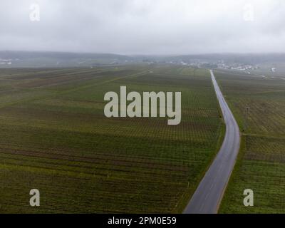 Vue aérienne panoramique d'hiver sur un paysage nuageux, vignobles de vallée près du village de champagne Ludes Premier cru près d'Epernay, production de vin en France Banque D'Images