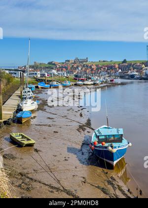 Whitby, North Yorkshire, Royaume-Uni 04.08.2023 l'abbaye de Whitby se trouve au-dessus du port de Whitby, à marée basse. Banque D'Images