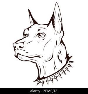 Doberman. Esquisse d'illustration vectorielle d'animal de compagnie de race pure. Tête de chien avec col à pointes. Illustration de Vecteur