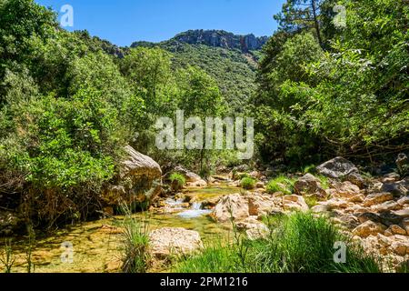 Rivière passant dans la Cerrada de Utrero en Sierra Cazorla, parc naturel de Segura y Las Villas. Déclaré réserve de biosphère par l'UNESCO. Situé dans le pro Banque D'Images