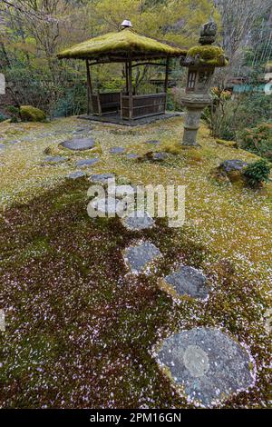 Hakuryu-en signifie littéralement « jardin de dragon blanc », a été placé dans un endroit improbable, coincé entre une route, une ligne de chemin de fer et une carrière. Visite de TH Banque D'Images