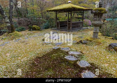 Hakuryu-en signifie littéralement « jardin de dragon blanc », a été placé dans un endroit improbable, coincé entre une route, une ligne de chemin de fer et une carrière. Visite de TH Banque D'Images