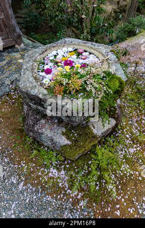 Hakuryu-en signifie littéralement « jardin de dragon blanc », a été placé dans un endroit improbable, coincé entre une route, une ligne de chemin de fer et une carrière. Visite de TH Banque D'Images