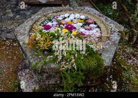 Hakuryu-en signifie littéralement « jardin de dragon blanc », a été placé dans un endroit improbable, coincé entre une route, une ligne de chemin de fer et une carrière. Visite de TH Banque D'Images