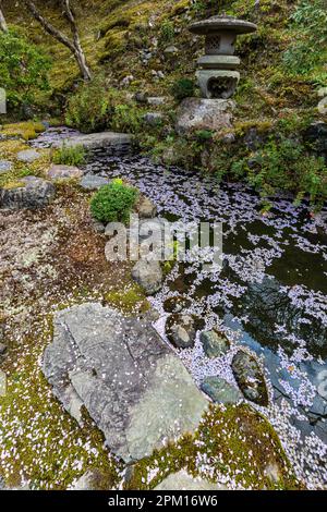 Hakuryu-en signifie littéralement « jardin de dragon blanc », a été placé dans un endroit improbable, coincé entre une route, une ligne de chemin de fer et une carrière. Visite de TH Banque D'Images