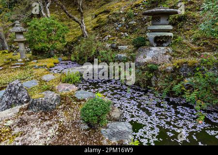 Hakuryu-en signifie littéralement « jardin de dragon blanc », a été placé dans un endroit improbable, coincé entre une route, une ligne de chemin de fer et une carrière. Visite de TH Banque D'Images