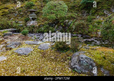 Hakuryu-en signifie littéralement « jardin de dragon blanc », a été placé dans un endroit improbable, coincé entre une route, une ligne de chemin de fer et une carrière. Visite de TH Banque D'Images