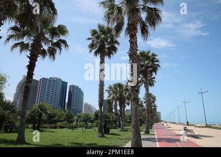 BATUMI, GÉORGIE - 10 JUIN 2022 : paysage urbain avec bâtiments modernes et palmiers Banque D'Images