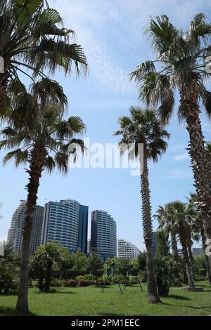 BATUMI, GÉORGIE - 10 JUIN 2022 : paysage urbain avec bâtiments modernes et palmiers Banque D'Images