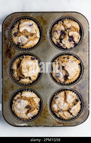 Muffins aux myrtilles dans un plateau Banque D'Images