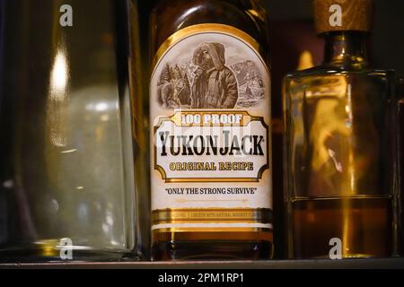 New York, NY - 10 avril 2023 : étiquette de bouteille de liqueur de whisky au miel du Yukon Jack, apposée sur la tablette du bar Banque D'Images