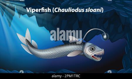 Illustration du vecteur Viperfish (Chauliodus sloani) Illustration de Vecteur