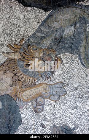 Une mosaïque byzantine de 5th ans représentant un éléphant qui étrangle un lion de la mosaïque du Grand Palais au Musée de la mosaïque d'Istanbul à Turkiye. Banque D'Images